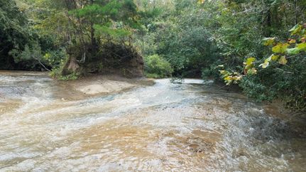 Timberland Property in Washington County, Alabama