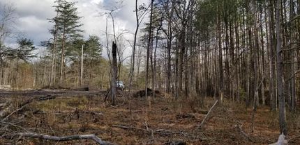 Land in Grundy County, Tennessee