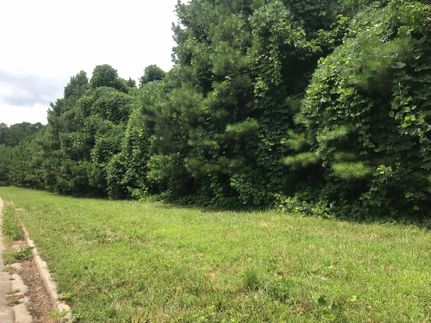 Land in Henry County, Georgia