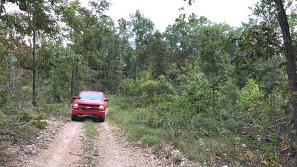 Land in Shannon County, Missouri
