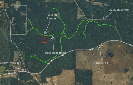Undeveloped Land in Douglas County, Missouri