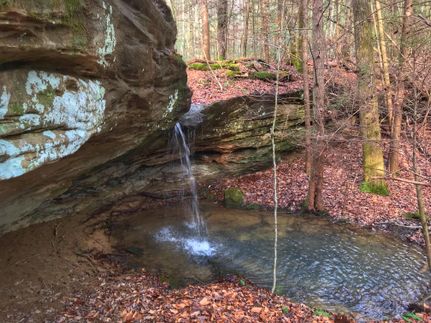 Farm and Ranch in McCreary County, Kentucky