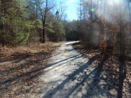 Timberland Property in Cherokee County, South Carolina