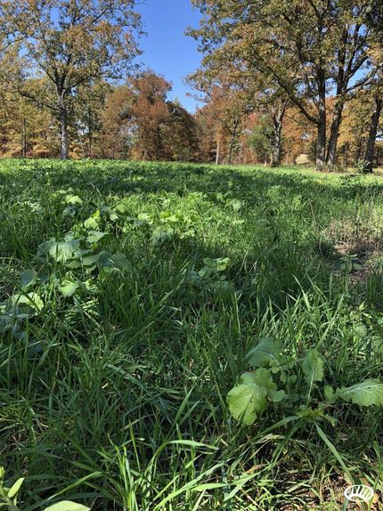 Land in Dallas County, Missouri