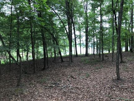 Lakefront Property in Hardeman County, Tennessee