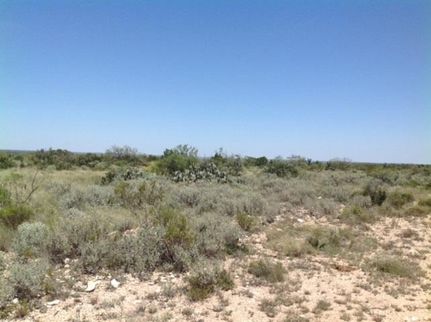 Farm and Ranch in Val Verde County, Texas