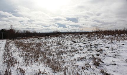 Undeveloped Land in Polk County, Wisconsin
