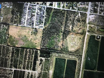 Undeveloped Land in Hidalgo County, Texas