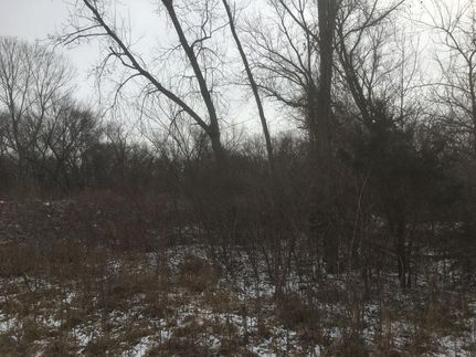 Land in Washington County, Nebraska