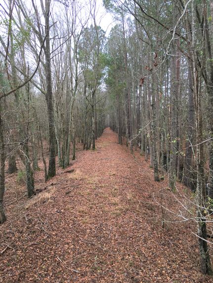 Farm and Ranch in Lee County, South Carolina