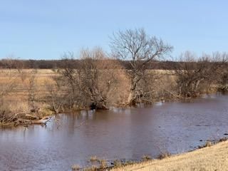 Timberland Property in Jefferson County, Oklahoma