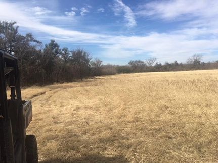 Undeveloped Land in Eastland County, Texas
