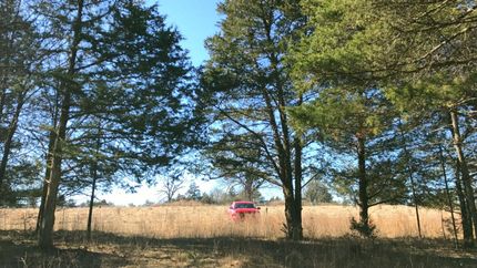Land in Taney County, Missouri