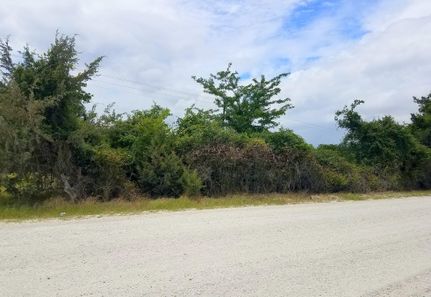 Farm and Ranch in Robertson County, Texas