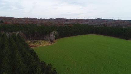 Timberland Property in Eau Claire County, Wisconsin