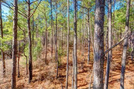 Recreational Property in Pike County, Alabama