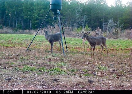 Land in Cherokee County, South Carolina