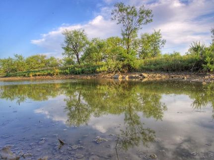 Farm and Ranch in Callahan County, Texas