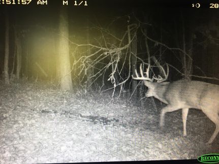 Recreational Property in Crawford County, Wisconsin