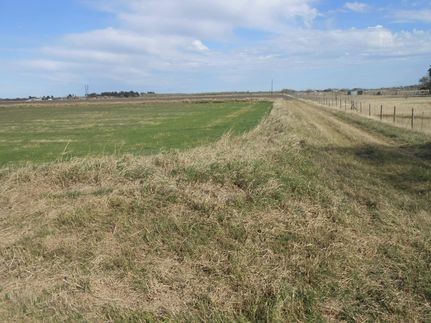 Timberland Property in Cameron County, Texas