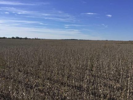 Farm and Ranch in Iroquois County, Illinois