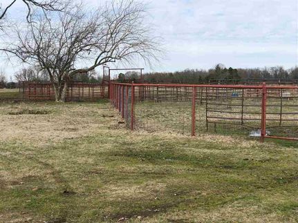 Undeveloped Land in Red River County, Texas