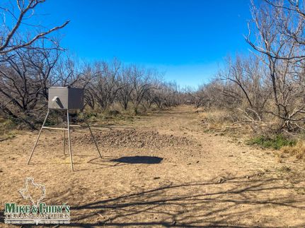 Farm and Ranch in Zavala County, Texas