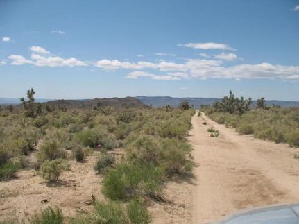 Undeveloped Land in Mohave County, Arizona