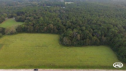 Timberland Property in Baldwin County, Alabama