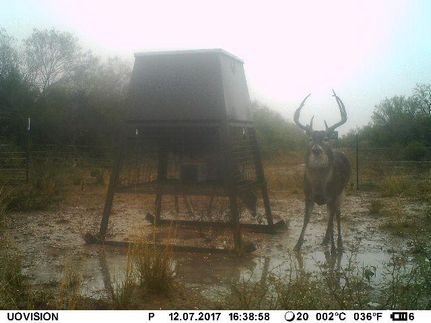 Recreational Property in Webb County, Texas