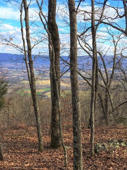 Land in Bledsoe County, Tennessee
