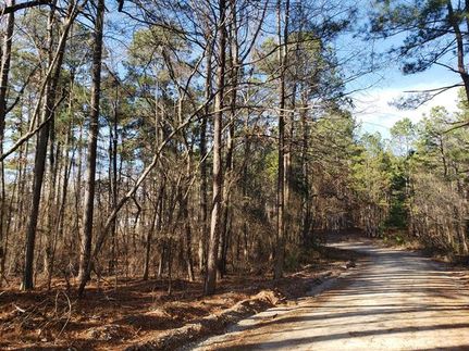 Undeveloped Land in Hot Spring County, Arkansas