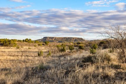 Land in Kent County, Texas