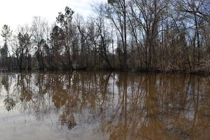 Land in Emanuel County, Georgia