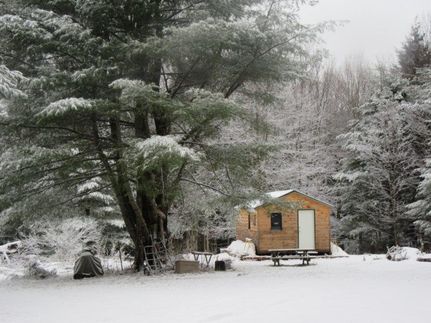 Timberland Property in Oswego County, New York