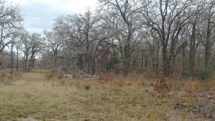 Recreational Property in Guadalupe County, Texas