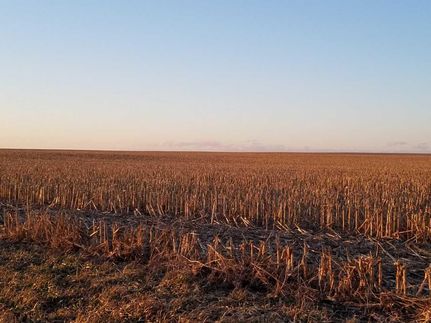 Farm and Ranch in McLean County, Illinois
