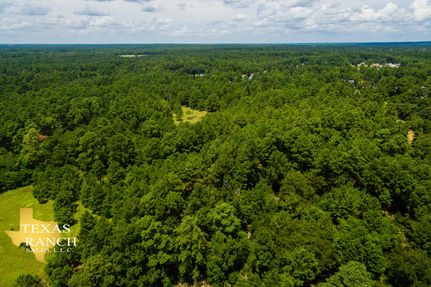 Undeveloped Land in Montgomery County, Texas