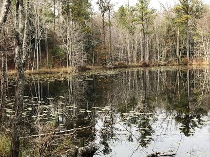 Undeveloped Land in Elmore County, Alabama