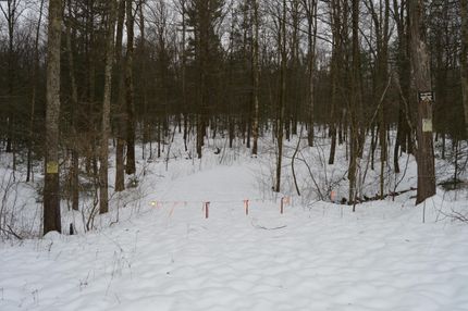 Hunting Property in Perry County, Pennsylvania