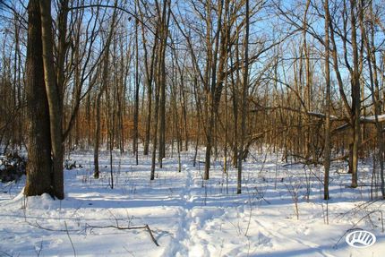 Timberland Property in Morrison County, Minnesota