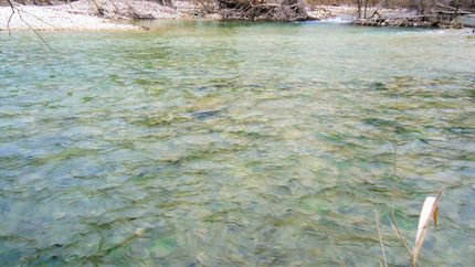 Undeveloped Land in Uvalde County, Texas