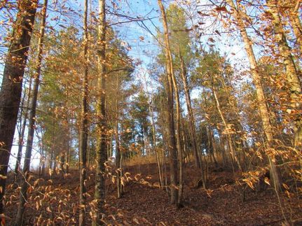 Recreational Property in Lee County, Alabama