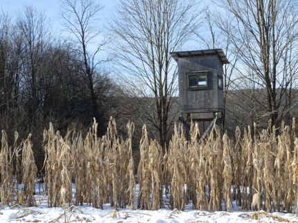 Hunting Property in Madison County, New York