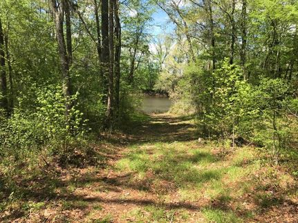 Riverfront Property in Bladen County, North Carolina