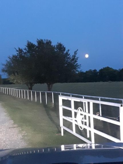 Undeveloped Land in Delta County, Texas