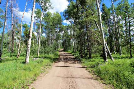 Farm and Ranch in Grand County, Colorado
