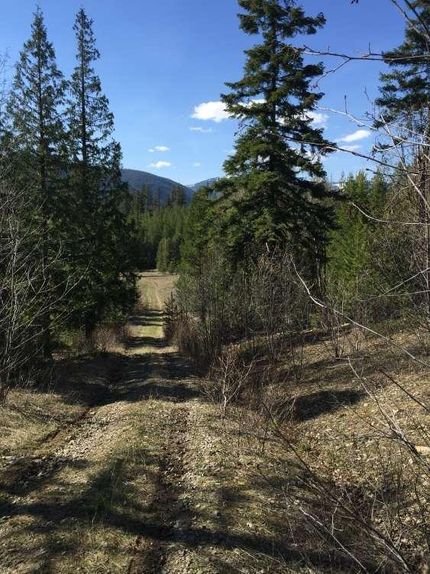 Undeveloped Land in Boundary County, Idaho
