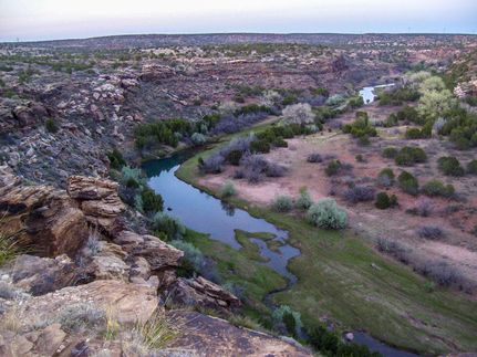 Timberland Property in Guadalupe County, New Mexico