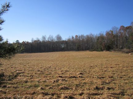 Land in Buckingham County, Virginia